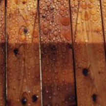 Nανοτεχνολογία σε ξύλο και ορυκτές επιφάνειες (σοβάς, πέτρα, σκυρόδεμα κτλ)